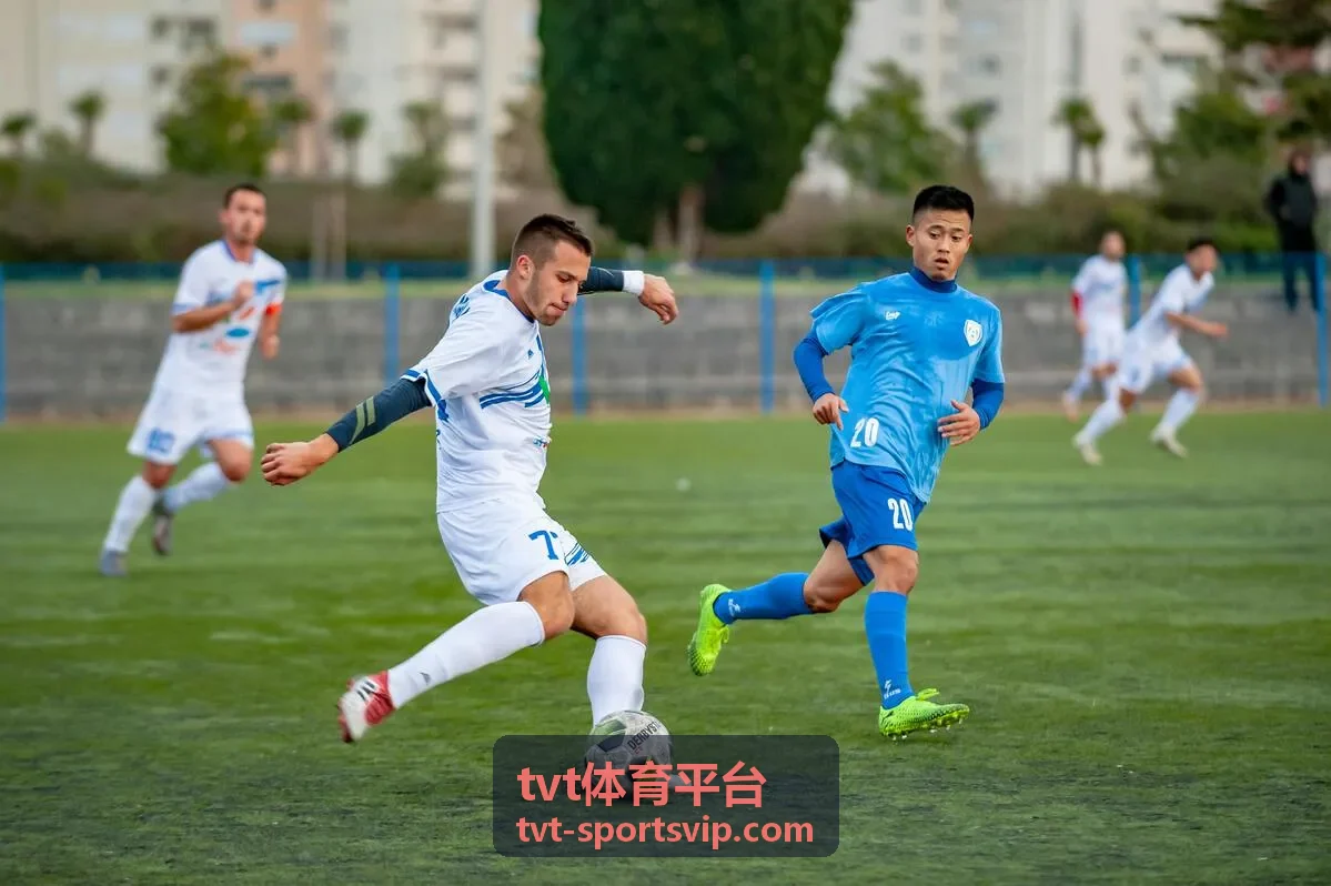 tvt体育平台实时赔率界面